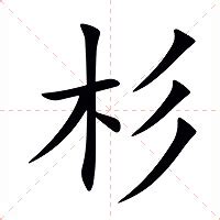 杉意思|杉的解释